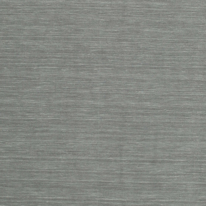 Contemporary Gunmetal Gray Modern Rug, con244