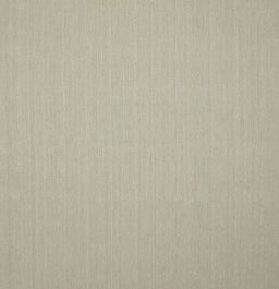 Contemporary Sage Green Solid Rug, con246