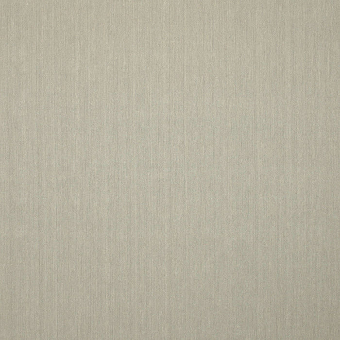 Contemporary Sage Green Solid Rug, con246