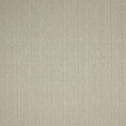 Sideview of Machine Washable Contemporary Sage Green Rug, wshcon246