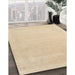 Machine Washable Contemporary Brown Rug in a Family Room, wshcon2480