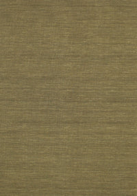 Machine Washable Contemporary Oak Brown Rug, wshcon249