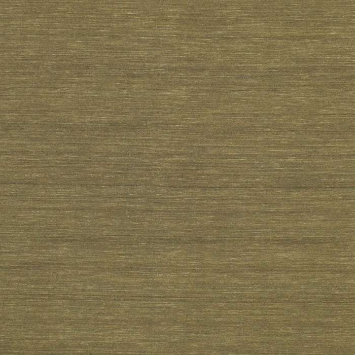 Machine Washable Contemporary Oak Brown Rug, wshcon249