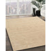 Machine Washable Contemporary Brown Rug in a Family Room, wshcon2500