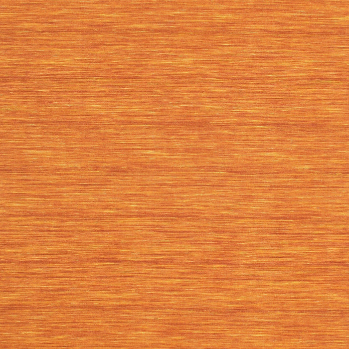 Contemporary Orange Red Modern Rug, con250