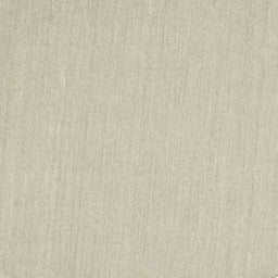 Sideview of Machine Washable Contemporary Sage Green Rug, wshcon251