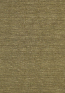 Contemporary Oak Brown Modern Rug, con252