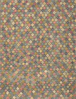 Contemporary Brown Southwestern Rug, con2532