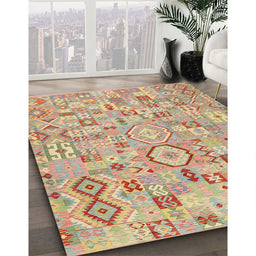 Contemporary Copper Red Pink Southwestern Rug in Family Room, con2533
