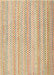 Contemporary Brown Gold Modern Rug, con2540