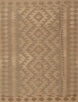Contemporary Light Brown Southwestern Rug, con2547