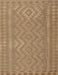 Contemporary Light Brown Southwestern Rug, con2547