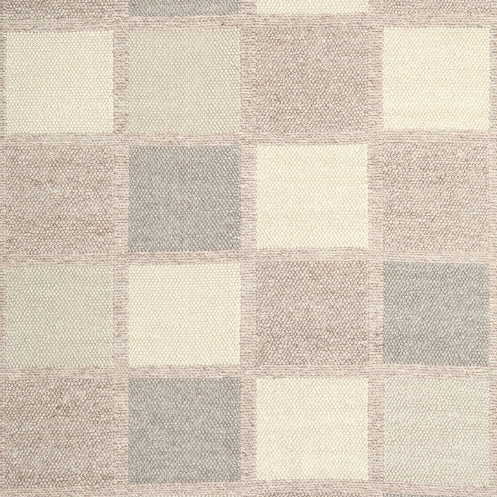 Contemporary Tan Brown Checkered Rug, con2549