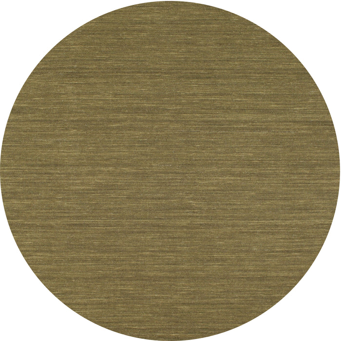 Square Machine Washable Contemporary Oak Brown Rug, wshcon254
