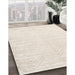 Machine Washable Contemporary Champagne Beige Rug in a Family Room, wshcon2553
