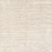 Sideview of Machine Washable Contemporary Champagne Beige Rug, wshcon2566