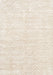 Machine Washable Contemporary Champagne Beige Rug, wshcon2566