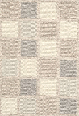 Contemporary Tan Brown Checkered Rug, con2569
