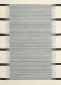 Machine Washable Contemporary Gunmetal Gray Rug, wshcon2574