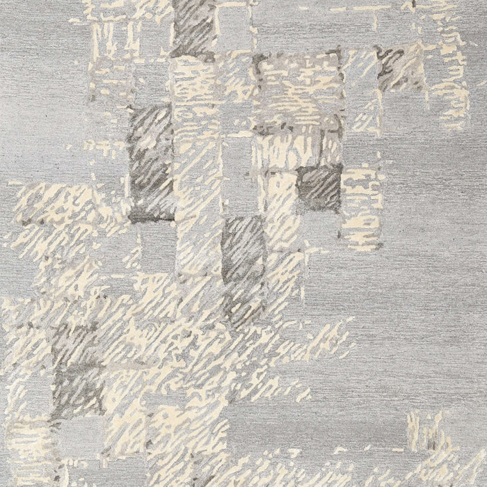 Contemporary Dark Gray Modern Rug, con2588