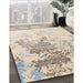 Machine Washable Contemporary Camel Brown Rug in a Family Room, wshcon2592