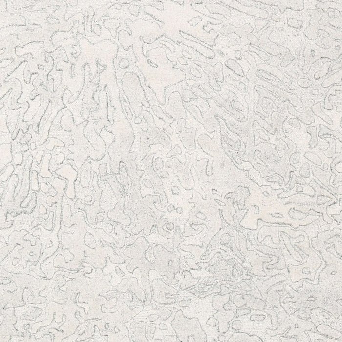 Contemporary Dark White Beige Solid Rug, con2598