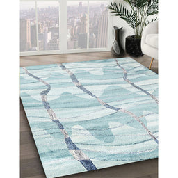 Machine Washable Contemporary Pale Blue Lily Blue Rug in a Family Room, wshcon2601