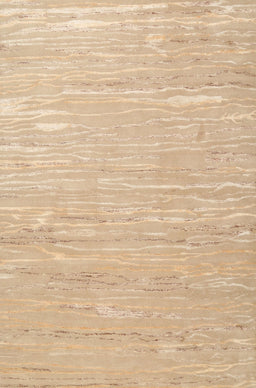 Contemporary Sand Brown Modern Rug, con2602