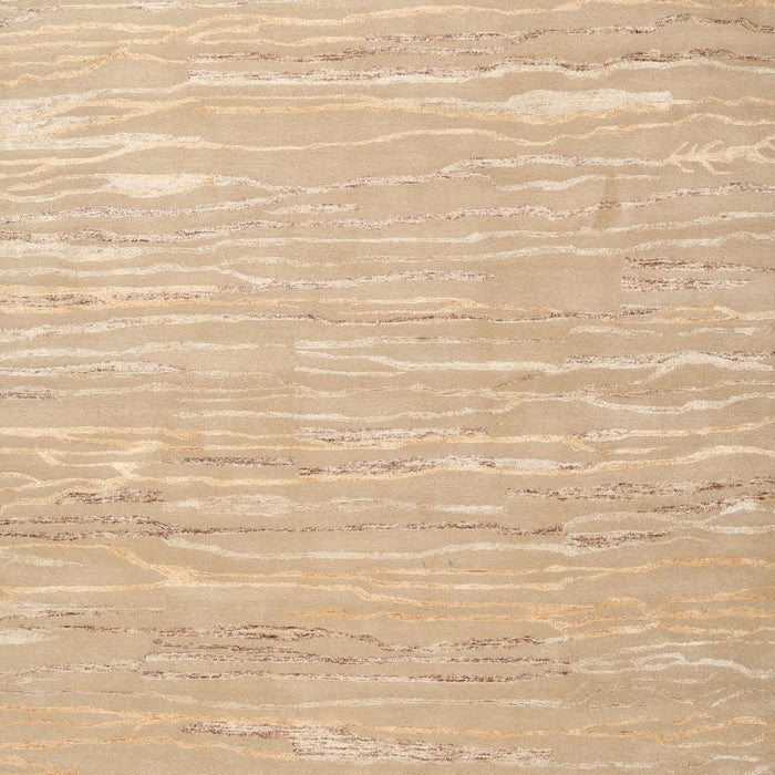 Contemporary Sand Brown Modern Rug, con2602