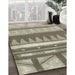 Contemporary Sage Green Modern Rug in Family Room, con2607