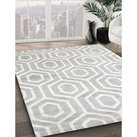 Contemporary Silver Gray Modern Rug, con2647