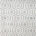 Square Contemporary Silver Gray Modern Rug, con2647