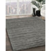 Machine Washable Contemporary Carbon Gray Rug in a Family Room, wshcon2659