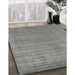 Machine Washable Contemporary Silver Gray Rug in a Family Room, wshcon2663