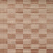 Sideview of Machine Washable Contemporary Rust Pink Rug, wshcon267