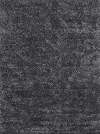 Machine Washable Contemporary Carbon Gray Rug, wshcon2723