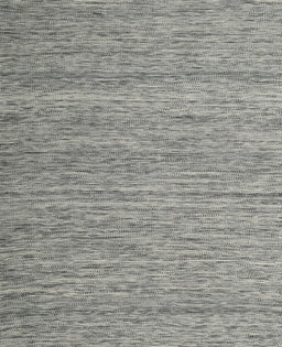 Machine Washable Contemporary Carbon Gray Rug, wshcon2727