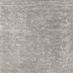 Square Contemporary Sage Green Modern Rug, con2730