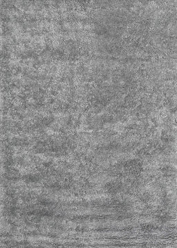 Contemporary Gray Modern Rug, con2732