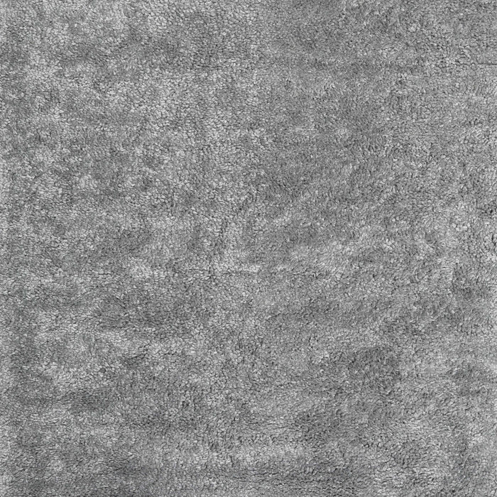 Contemporary Gray Modern Rug, con2732