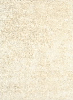 Contemporary Beige Solid Rug, con2748