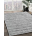 Machine Washable Contemporary Silver Gray Rug in a Family Room, wshcon2756