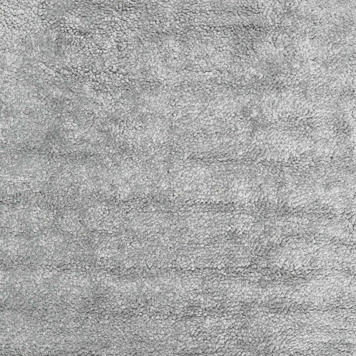Contemporary Silver Gray Modern Rug, con2756