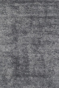 Machine Washable Contemporary Gray Rug, wshcon2757