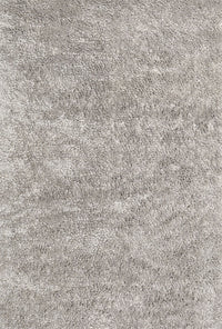 Machine Washable Contemporary Pale Silver Gray Rug, wshcon2758