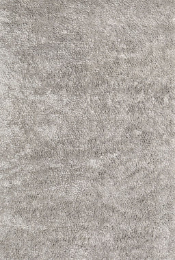 Machine Washable Contemporary Pale Silver Gray Rug, wshcon2758