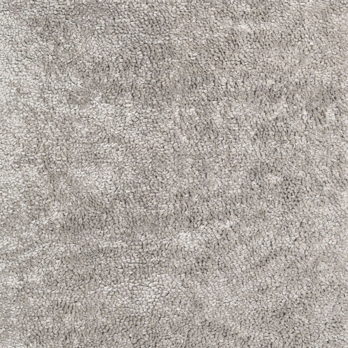 Machine Washable Contemporary Pale Silver Gray Rug, wshcon2758