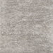 Square Contemporary Pale Silver Gray Modern Rug, con2758