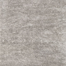 Sideview of Machine Washable Contemporary Pale Silver Gray Rug, wshcon2758