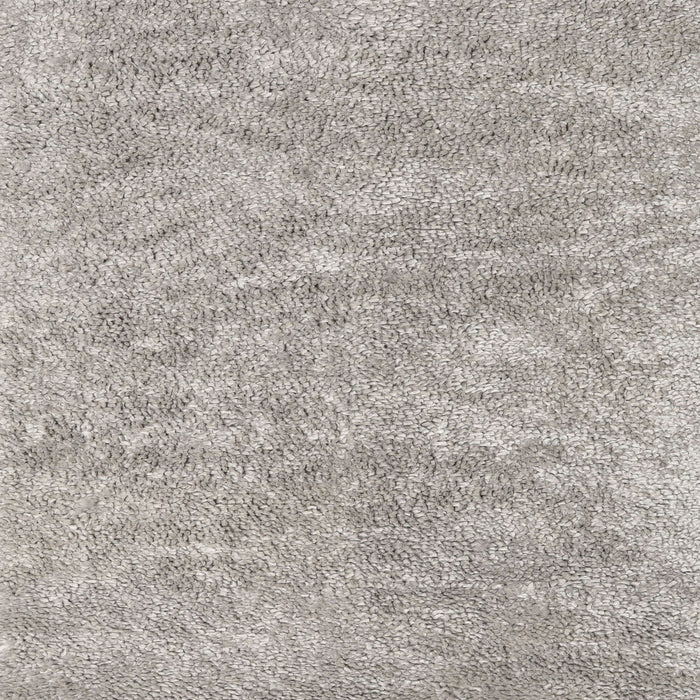 Sideview of Machine Washable Contemporary Pale Silver Gray Rug, wshcon2758